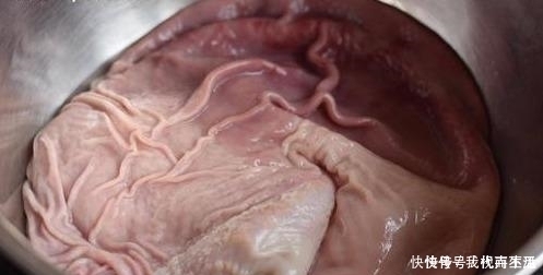 淀粉|洗猪肚时,有人用淀粉,有人用盐,大错特错这么洗才正确