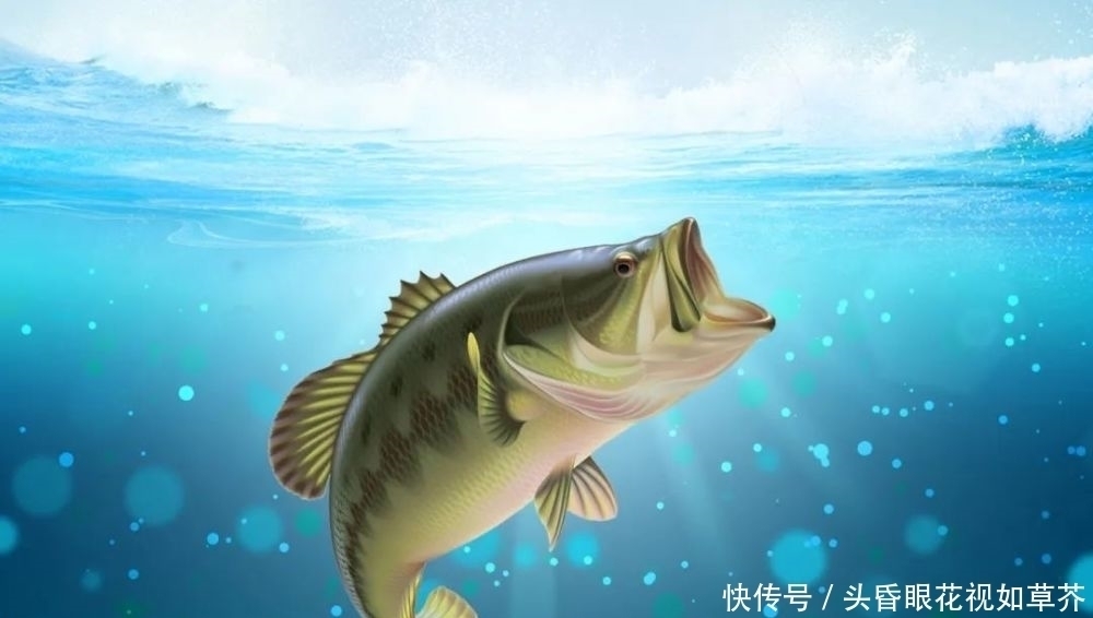 钓鱼饵料如何调配味型?什么味型垂钓效果好?味型小药的选择技巧