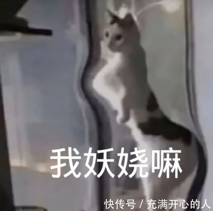 |搞笑表情包来啦