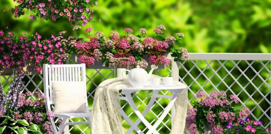 居所|威登小镇丨一处理想的居所，离不开一个院子