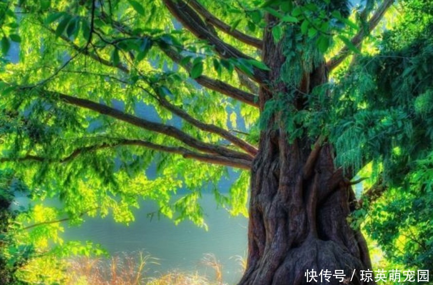 3平方英尺是多少厘米