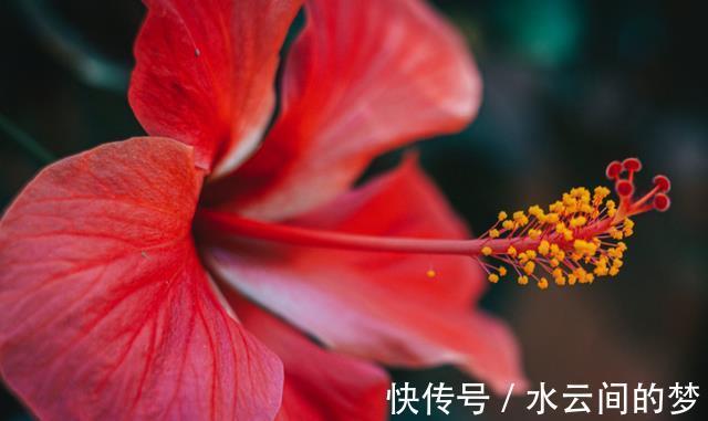 财神|8月下旬，财神点名，事业兴旺的3生肖，吉星当头，事业旺顺