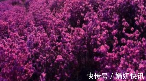 福气@俗话说好事做尽，福气到头，别做4件事好事，不然财福会被抢走