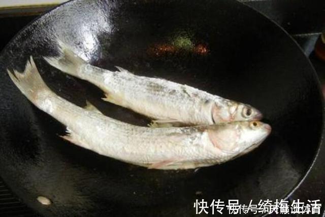 外来|珠江“白草鱼”泛滥,钓友爆护后担忧不已:会不会又是外来物种?