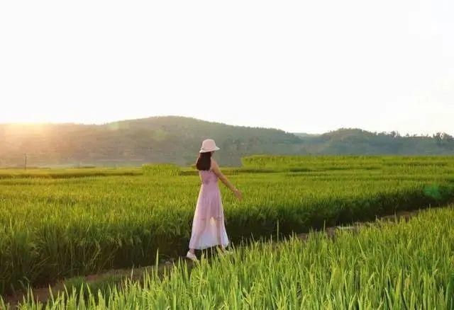 到建水西庄遇见“乡愁” 邂逅田园