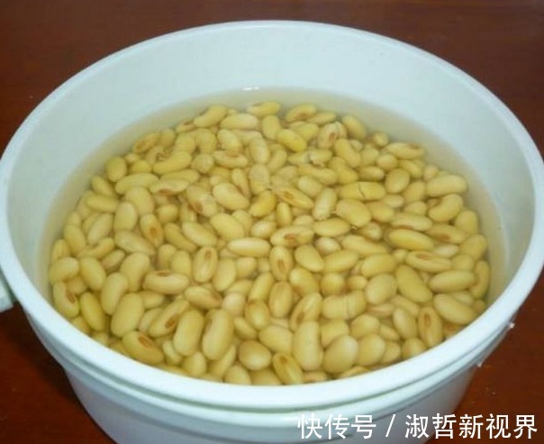 养护|大花蕙兰贵且难养，养花高手告诉你一招，养多少都能养旺、爆盆