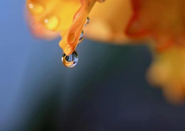 秋晓$诗词他乡天早冷,故土水常温。不似春光里,粤山胜似春