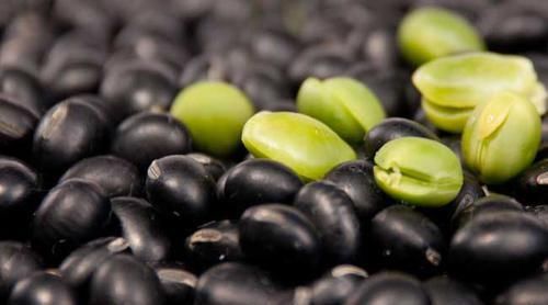 妇科炎症太难缠?试试吃5种食物,排毒灭菌,或能远离烦恼