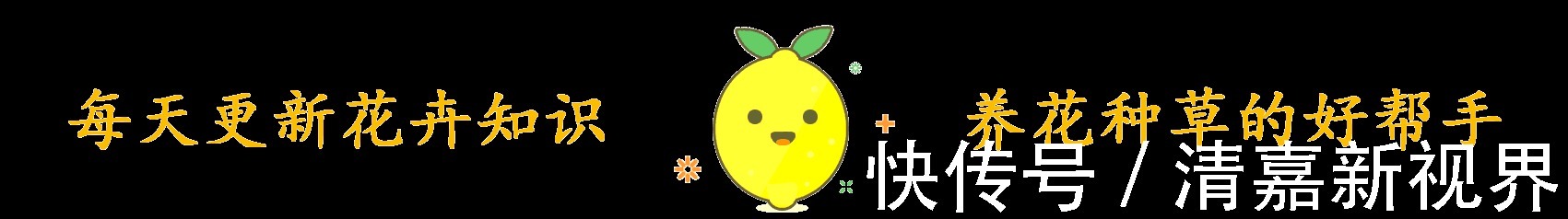 养分|栀子花、杜鹃花“花苞”呼呼掉,都是土壤惹的祸,教你几招能恢复