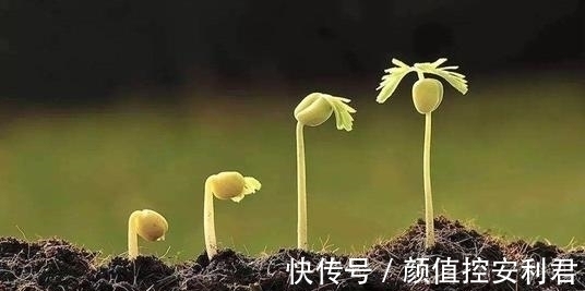 意气君@习练太极拳,要明白“意气君来骨肉臣”这句话的含义