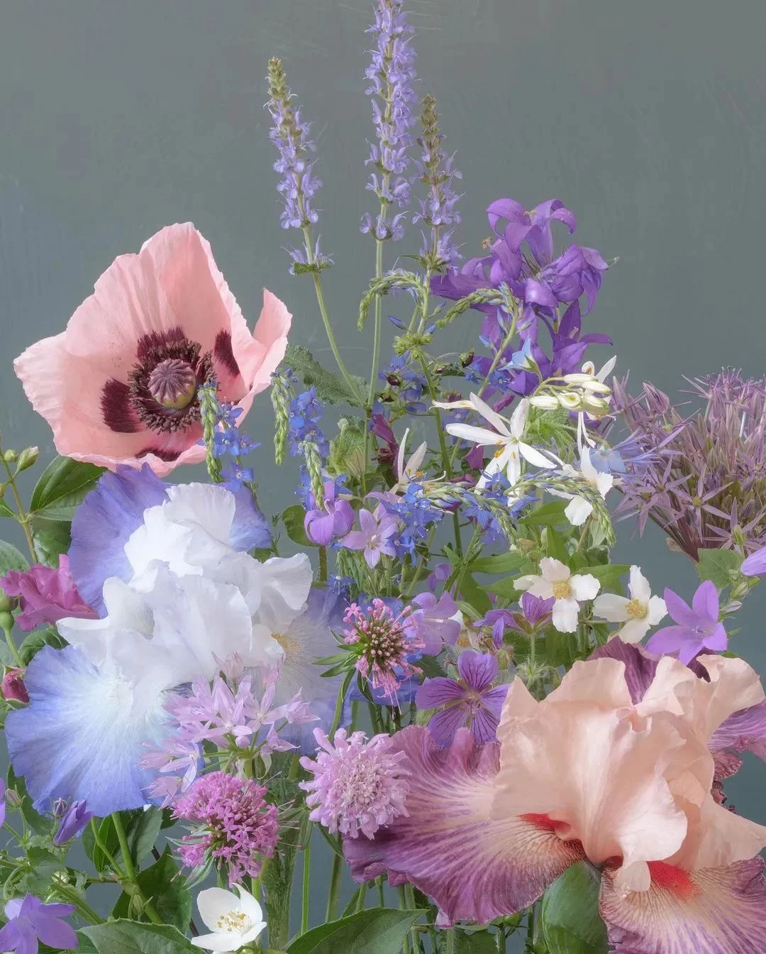 天下风物——《【平凡英雄非凡力量】诗韵咏合》风光题照