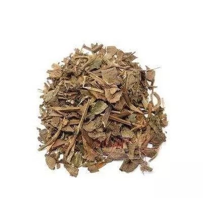 野钓|入秋后,钓鱼根本不用打窝!野钓用这些,水底的鱼全被你钓光了