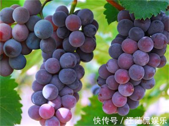 美女|爱美女性要多吃3种水果，营养丰富、改善体质，减肥瘦身