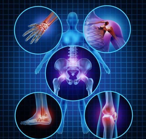 藜麦|茄子是骨质疏松的“加速器”?北大院士呼吁:若想养骨,“2绿1白”少吃