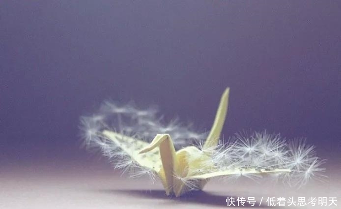重样|每天折一只千纸鹤,他坚持了1000天不重样,女友被感动到梨花带雨