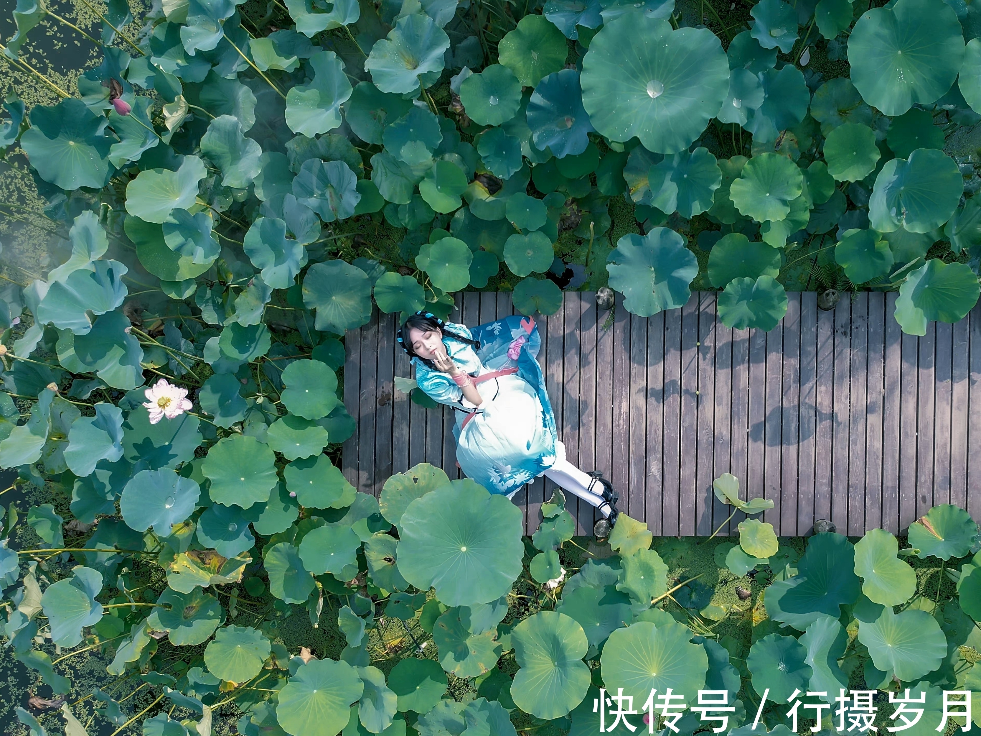 静好$我,就依着这片静好,翻阅着一本莲意楚楚的书