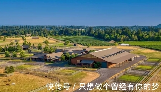 威尔逊|甲骨文创始人第三任妻子出售马术农场,报价1950万