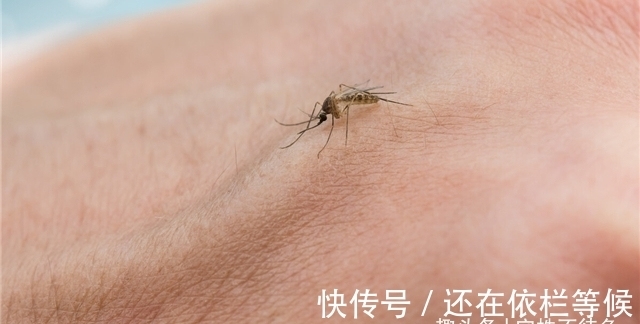 珠穆朗玛峰|23个冷知识:除了使人博学,或许也没有地方使用的奇怪知识