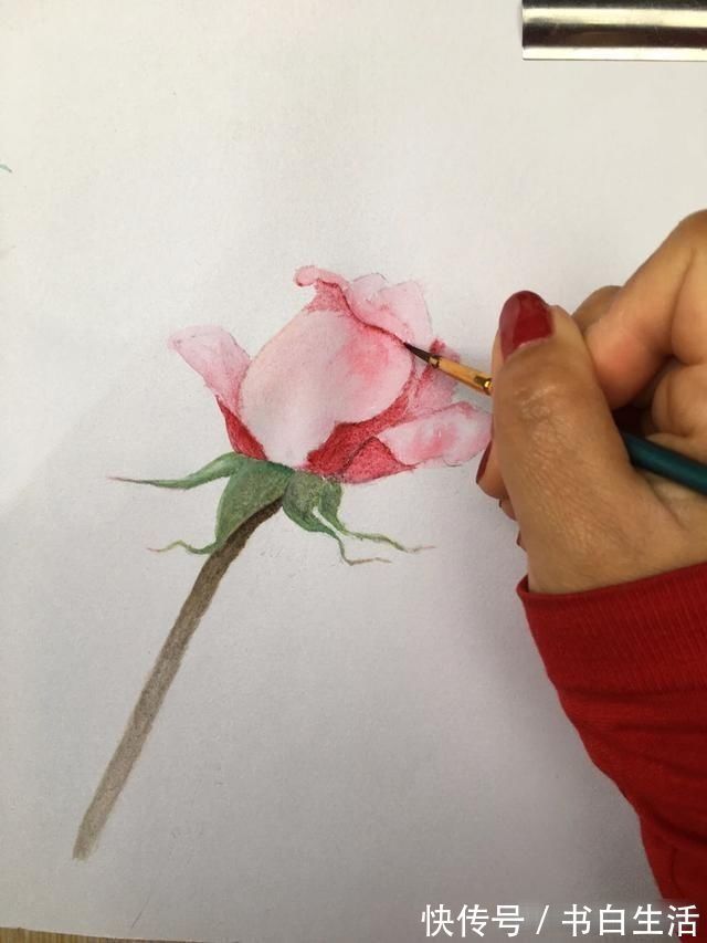 毛笔!手绘逼真的玫瑰花,只要四步就能学会,快来看看吧