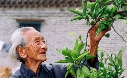 400多名百岁老寿星:6个长寿“秘诀”很明显!大家都能做到