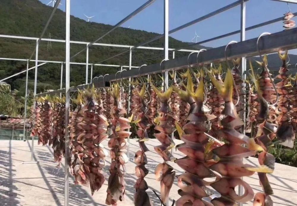  场面|阳江的“名场面”来了！