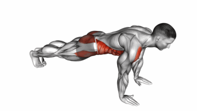 动作|健身如何训练核心？这几个动作，助你一臂之力