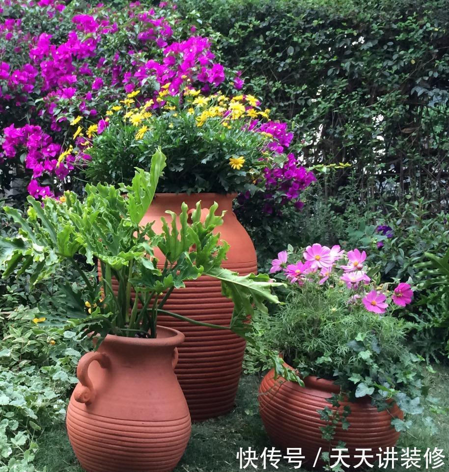 新手养花用红陶盆,红陶盆的优缺点,你知道多少?