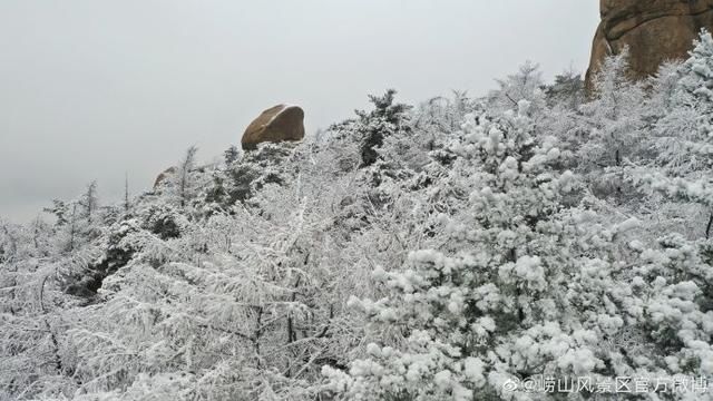 日前|青岛气象：市区常年的初雪日期在11月25日前后