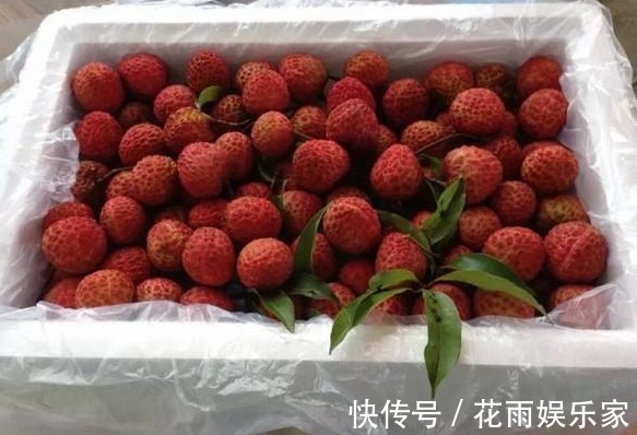 水果|夏天再炎热,有些“水果”也尽量少给孩子吃,会伤害孩子脾胃