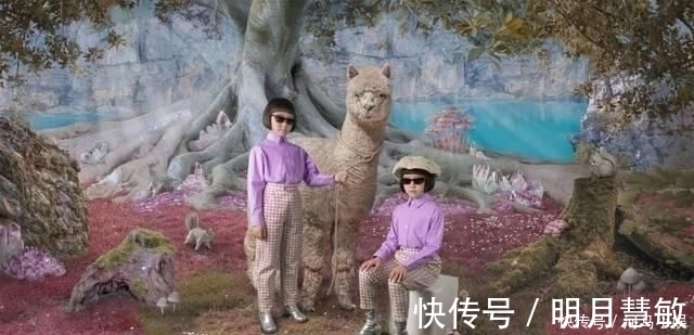 gentle|救救近视瞎子还有什么颜值高的眼镜品牌