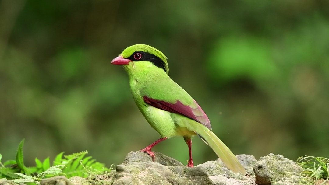 穿衣搭配|还在为穿衣搭配发愁？让“时尚达人”给你一些新思路