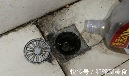 下水道|把它倒进卫生间,小飞虫立马消失不见,方法简单效果立竿见影