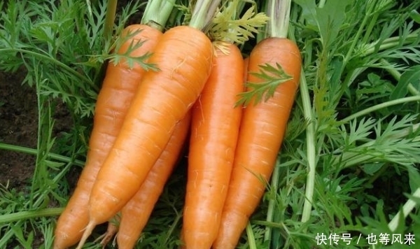 有望|50岁之后,能做到这5件事,说明你超健康,有望成为长寿老人