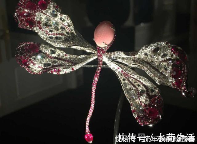 蜻蜓|珍珠中的劳斯莱斯,珍贵到一颗难求,因为产量稀少所以难得一见