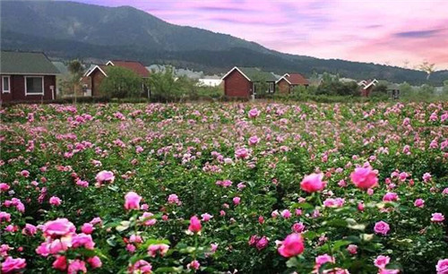 保加利亚|此国参加两次世界大战全站错队，领土失去85丢出海口成内陆国