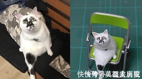 小猫|全球的猫都想屏蔽这个日本人，他到底做了多少沙雕手办？