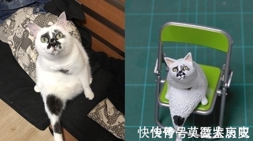 小猫|全球的猫都想屏蔽这个日本人,他到底做了多少沙雕手办?