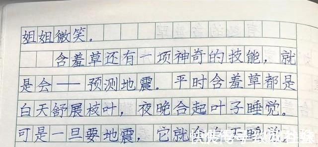 学霸$家长晒二年级学霸作文,字迹严谨规范,端庄大气,堪比“教科书”