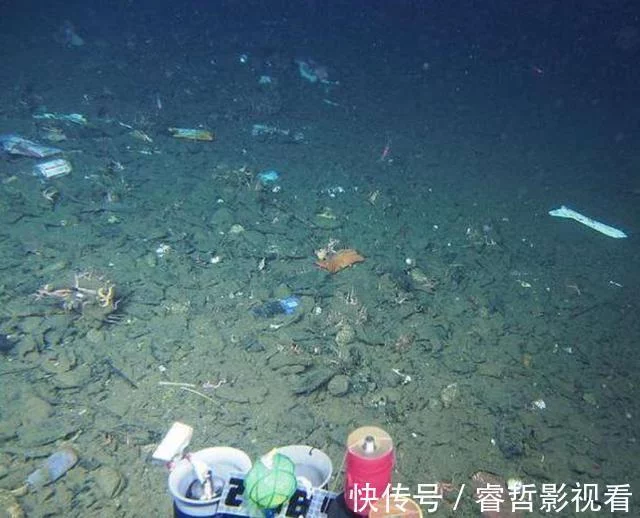马里亚纳海沟10928米处,出现了科学家最不愿看见的东西_塑料  第16张