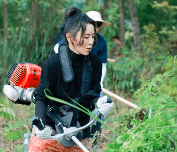 生日歌|黄雅莉做客《向往》被吐槽太做作，努力工作为何还成了错误？