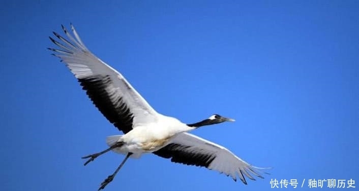 《易经》六十四卦由阴阳爻组成,读《易经》需要先理解“阴阳”