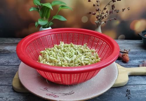  黄豆|2把黄豆，成本不到1元，在家自发黄豆芽，健康零添加吃得放心