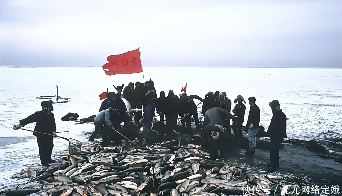 年代|80年代罕中国老照片，没想到30多年前的年轻人是这样的