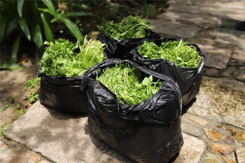 烫火锅|又一“猪菜”翻身,曾被嫌弃脏,如今一斤7元,成烫火锅佳品