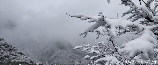 银装素裹|南太行今冬第一场雪来的是那么突然满山银装素裹