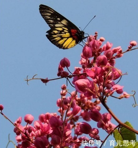 婆婆|“把婆婆当亲妈”的3大生肖女,家庭很和睦,丈夫很幸福