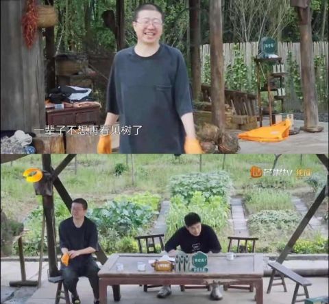 蘑菇|李雪琴，之前還真是“小看”你了