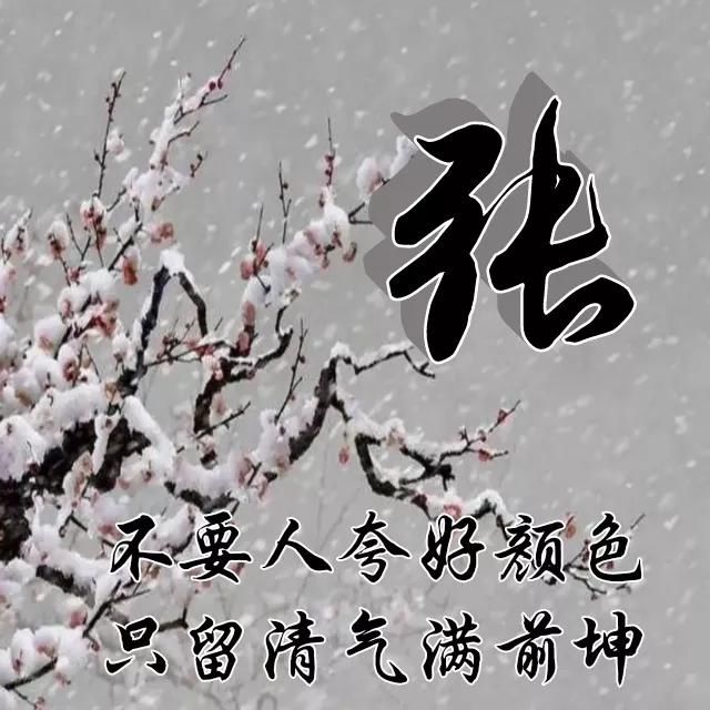  红梅|红梅花儿开，朵朵放光彩，千里冰霜脚下踩