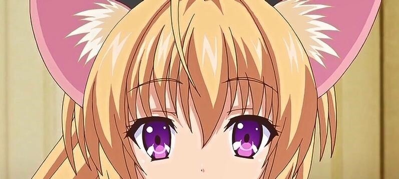 猫娘乐园|二次元中具有猫耳属性的美少女(猫娘),你想要领养哪一只呢