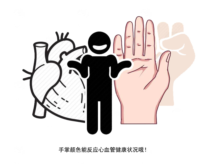 肝硬化|一到年会总被劝酒?出现4种迹象,拼酒的“六斤哥”,劝你悠着点